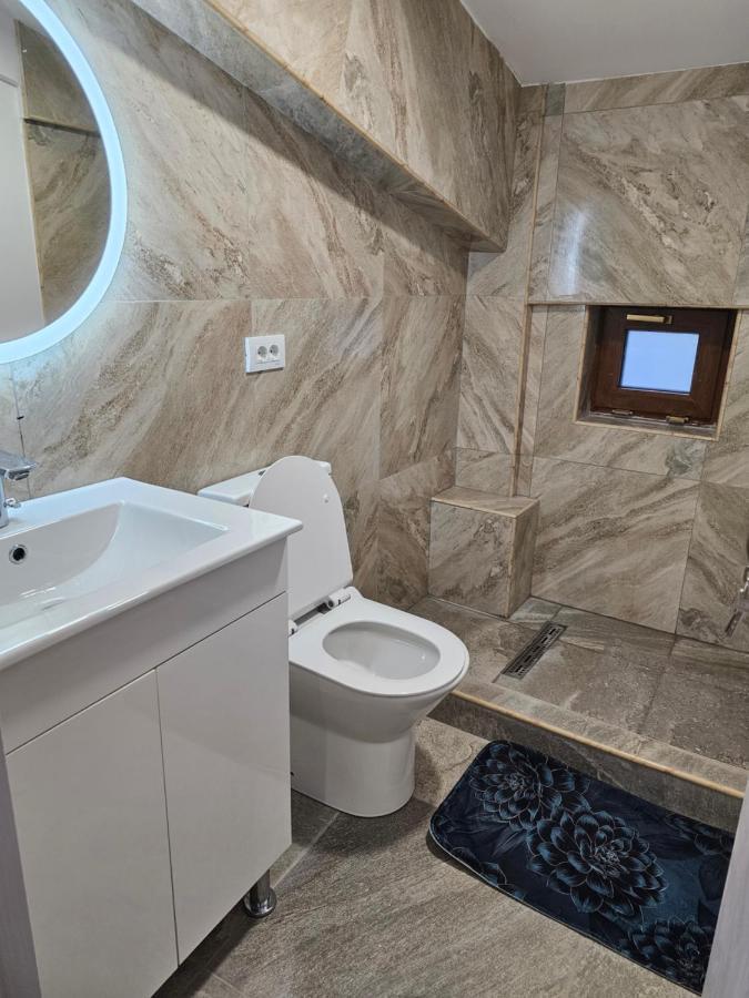 Didi Apartament Craiova Dış mekan fotoğraf